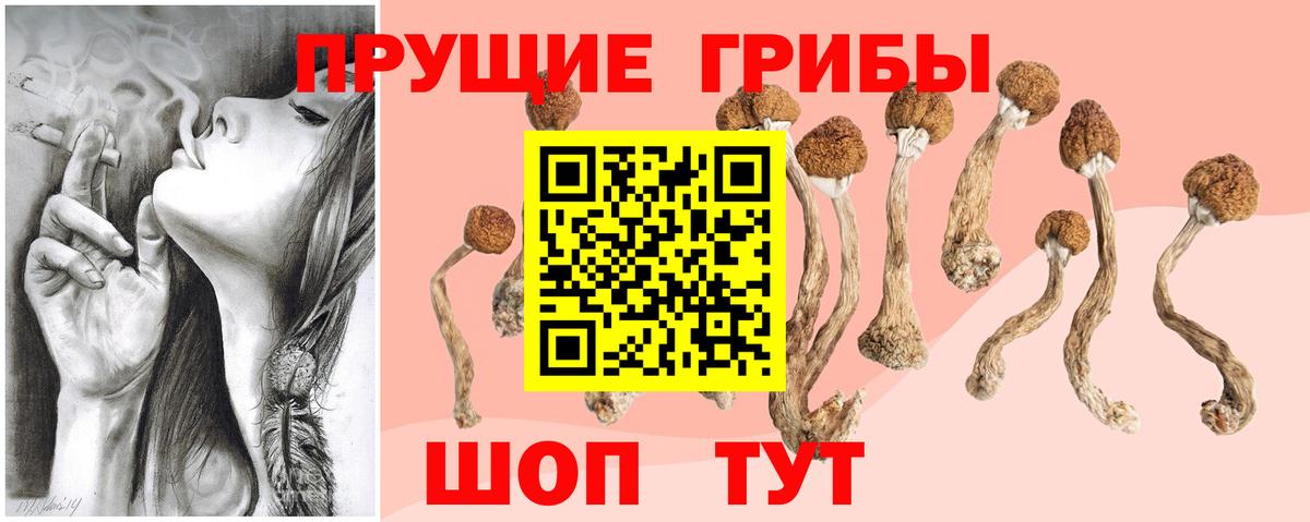 Псилоцибиновые грибы Psilocybine cubensis  Вход с VPN  Юрга  Псилоцибиновые грибы Magic Shrooms 