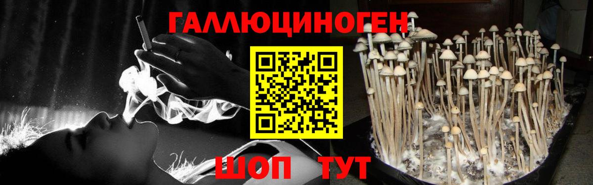 Галлюциногенные грибы мухоморы Юрга